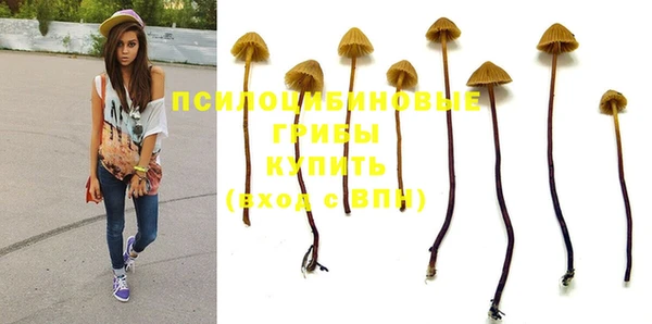 MDMA Армянск